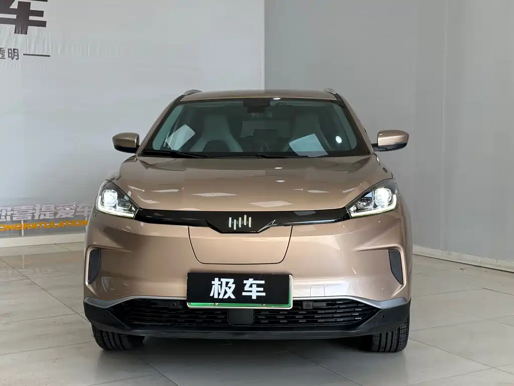 WM Motor EX5 — миниатюра 4