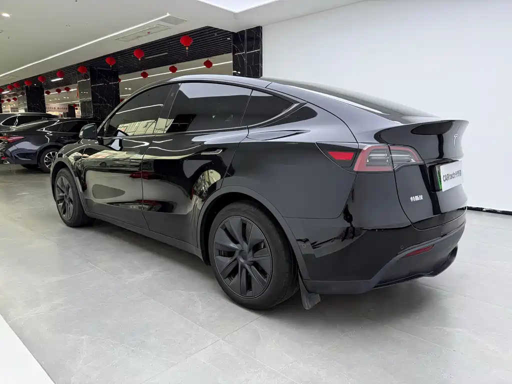 Tesla Model Y — миниатюра 4