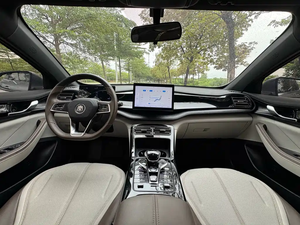 BYD Qin Plus PLUS 2024 DM-i 55KM Lead