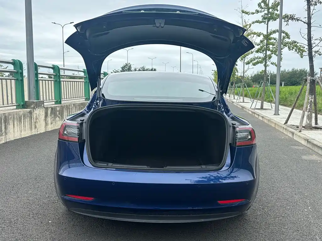 Tesla Model 3 — миниатюра 14