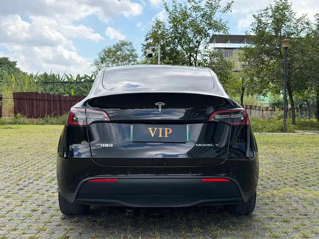 Tesla Model Y — миниатюра 5