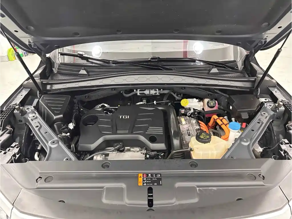 Roewe RX5 eMAX — миниатюра 6