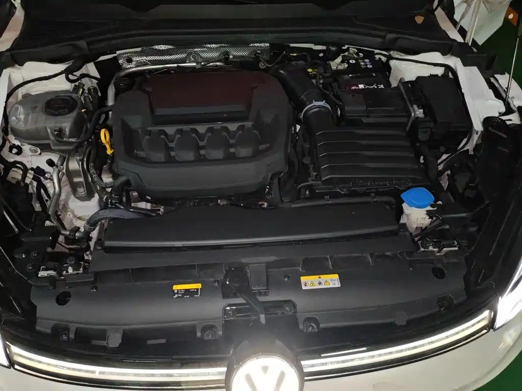 Volkswagen Lamando — миниатюра 16