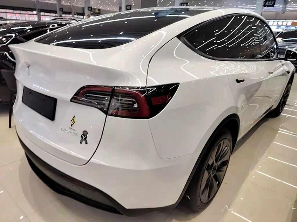 Tesla Model Y — миниатюра 7