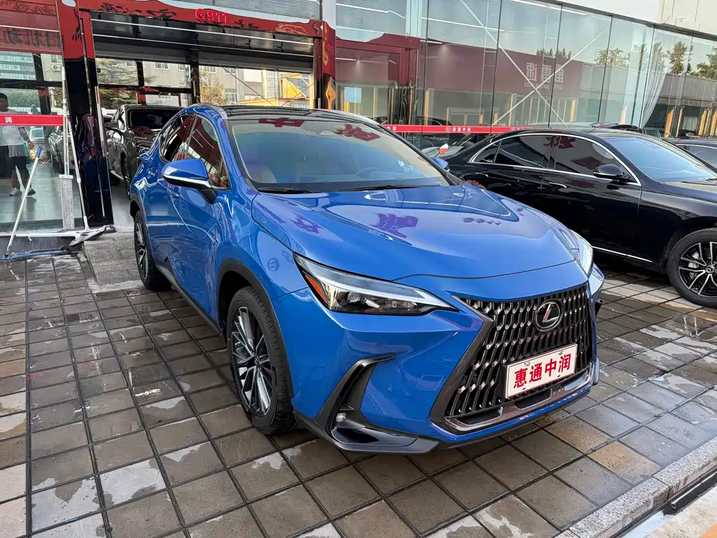 LEXUS  NX