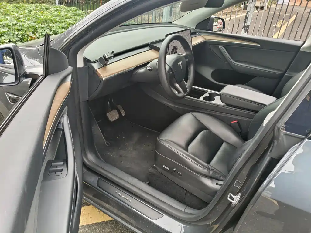 Tesla Model Y — миниатюра 6