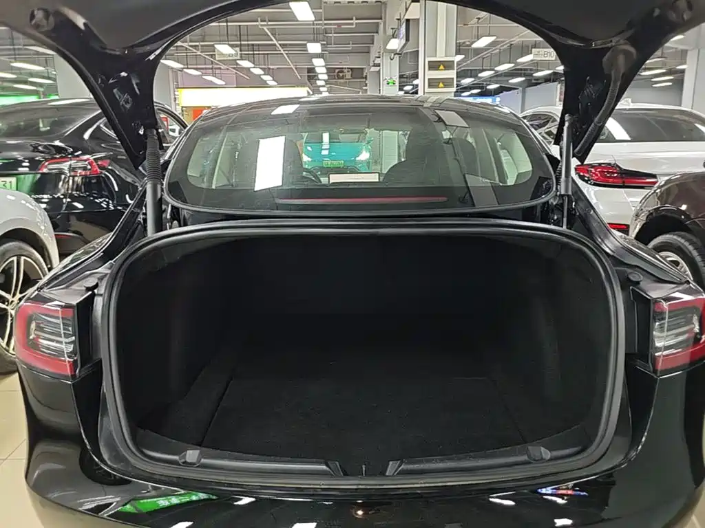 Tesla Model 3 — миниатюра 19