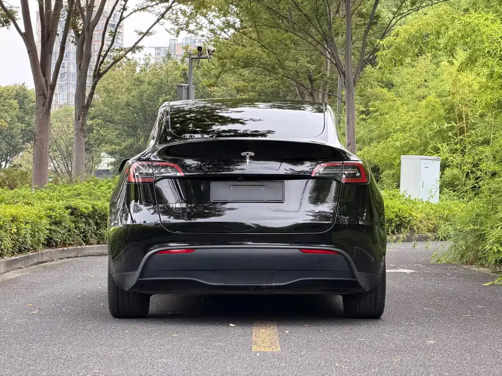 Tesla Model Y — миниатюра 5