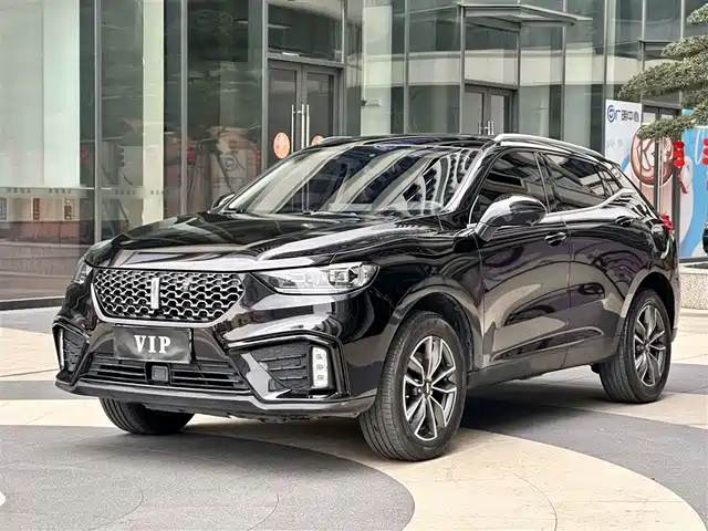 WEI PAI WEI BRAND VV5