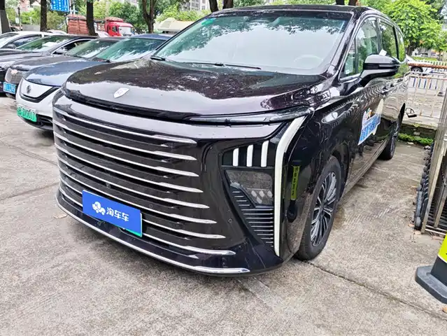 DONGFENG XINGHAI V9 2024