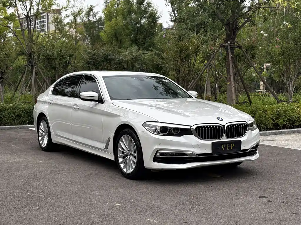 BMW 5 SERIES