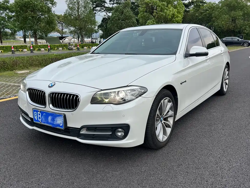 BMW 5 Series 5 2017 525Li Lead