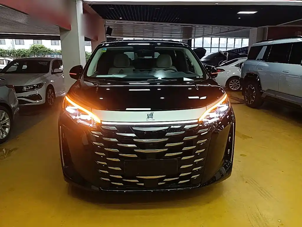 BYD Xia — миниатюра 3