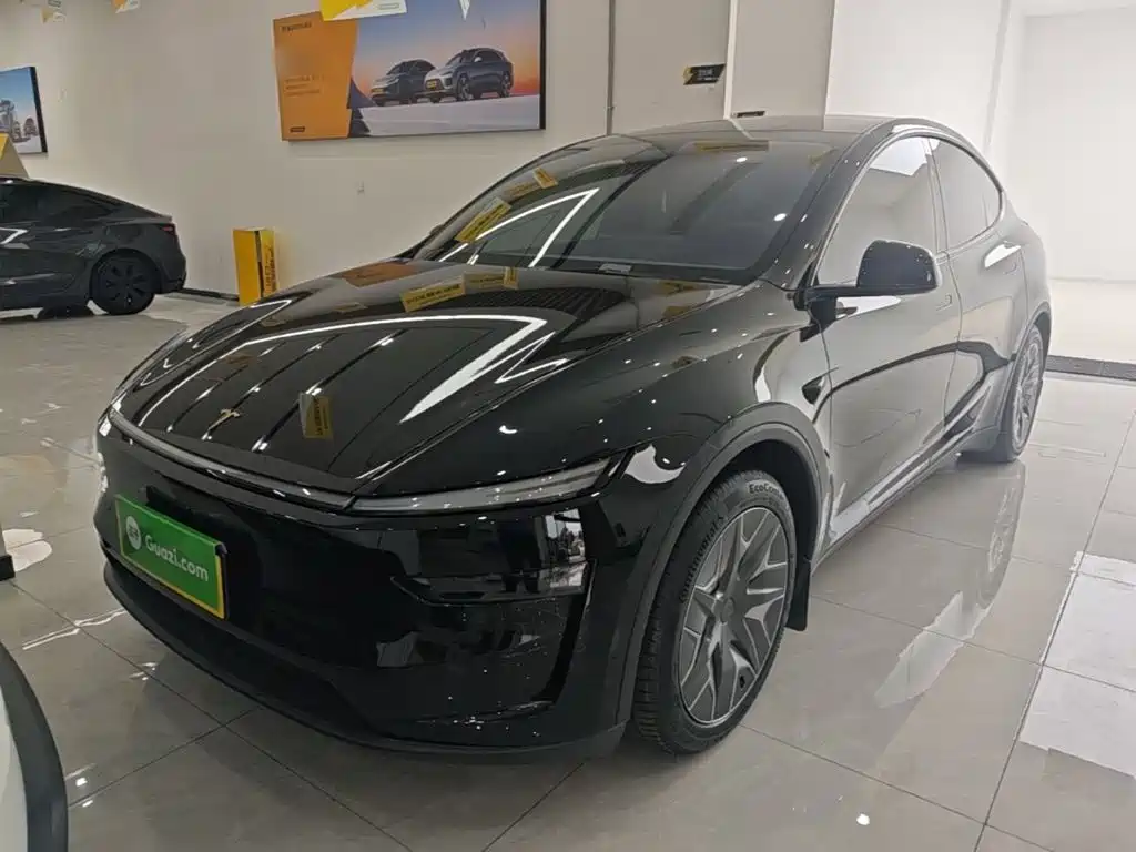 Tesla Model Y L — миниатюра 2