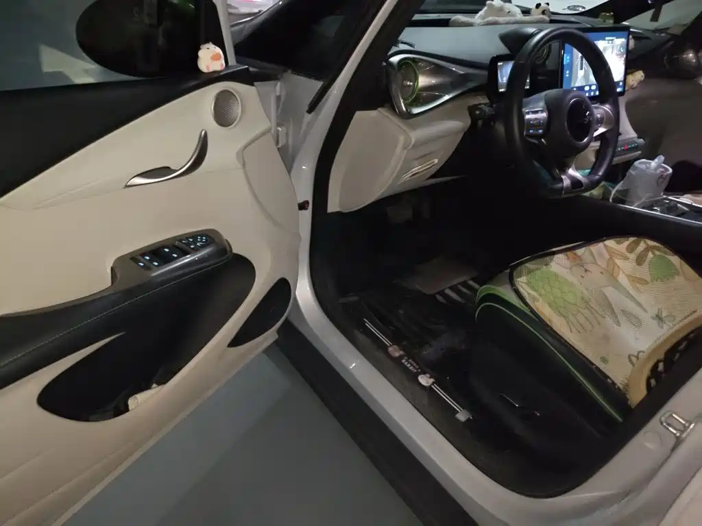 BYD Dolphin — миниатюра 17