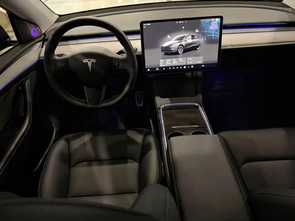 Tesla Model Y — миниатюра 6