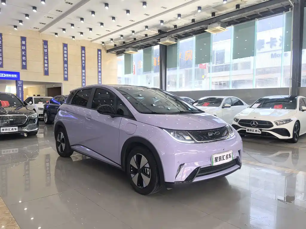 BYD Dolphin — миниатюра 3