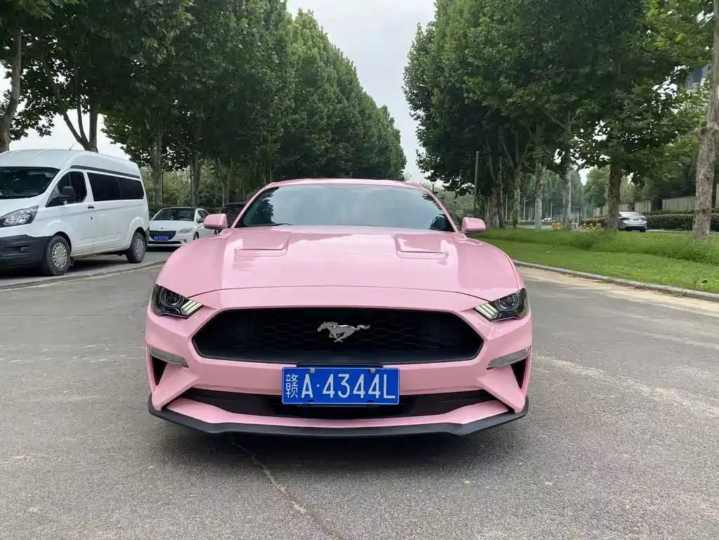 Ford Mustang — миниатюра 2