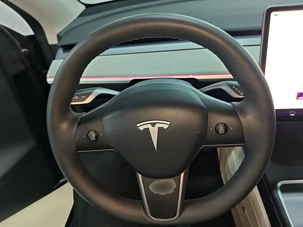 Tesla Model Y — миниатюра 11