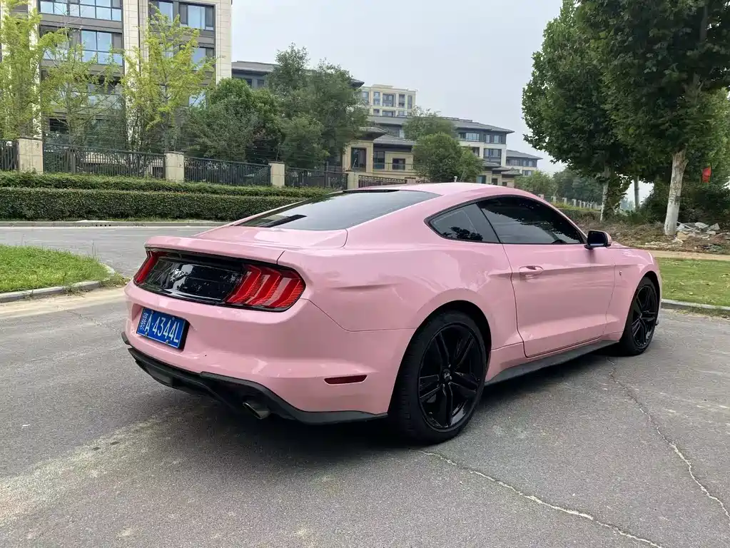 Ford Mustang — миниатюра 7