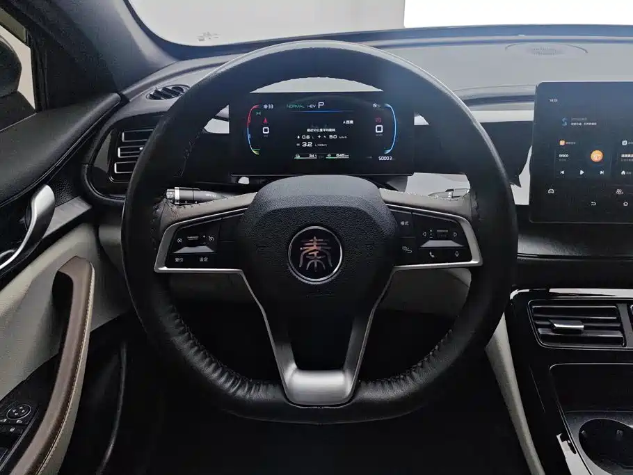 BYD Qin PLUS — миниатюра 15