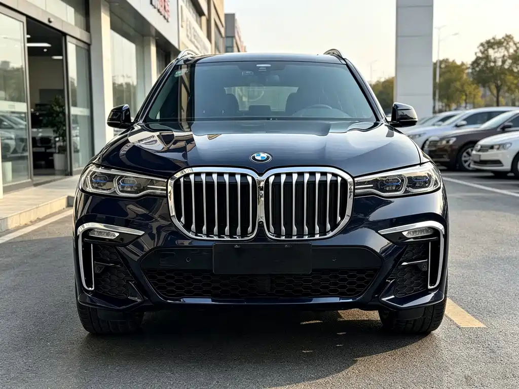 BMW X7 — миниатюра 3