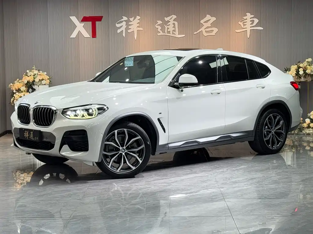 BMW X4 2019