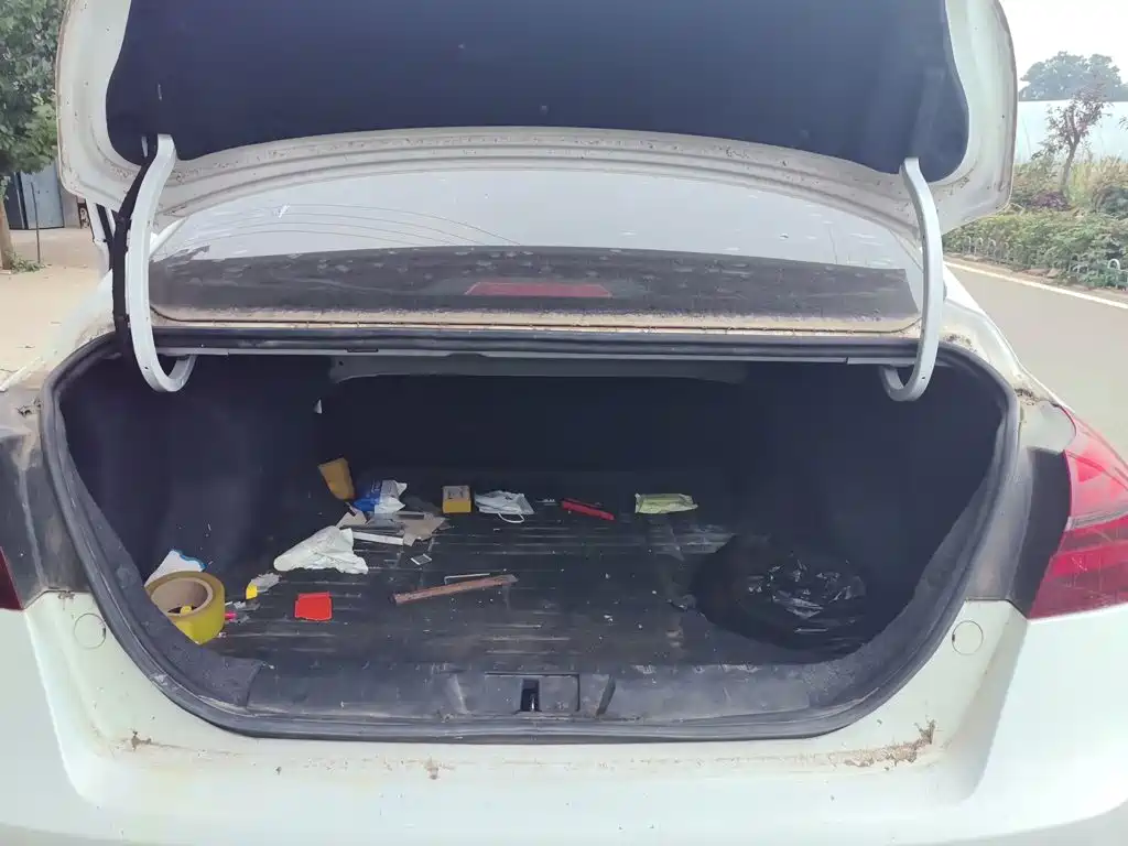 Geely Emgrand — миниатюра 10