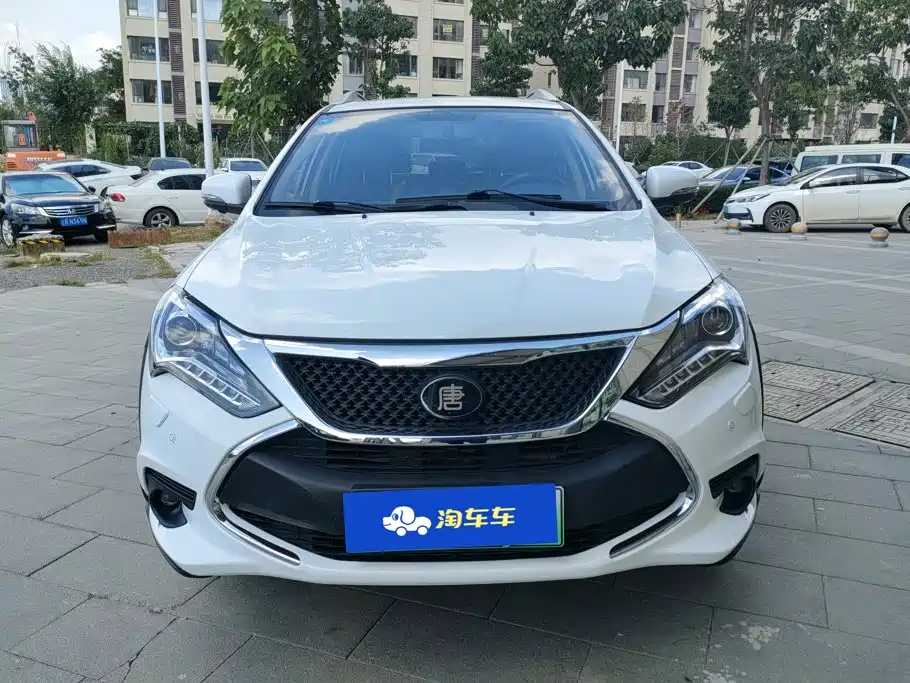 BYD Tang New Energy — миниатюра 2