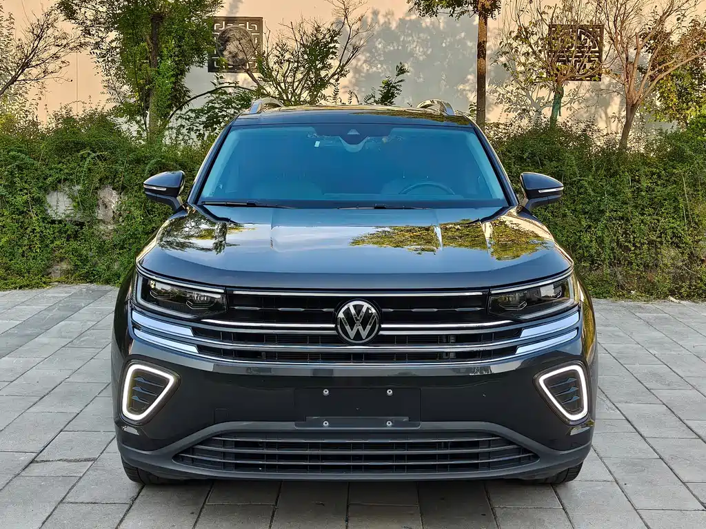 Volkswagen Tavendor — миниатюра 2