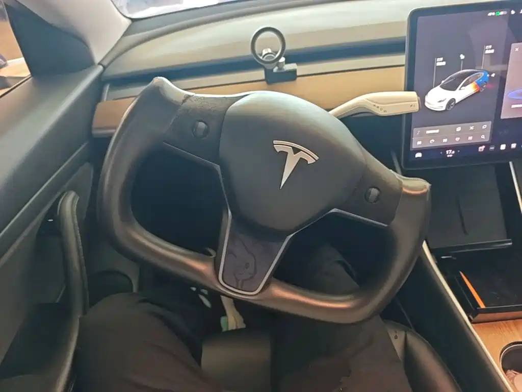 Tesla Model 3 — миниатюра 11
