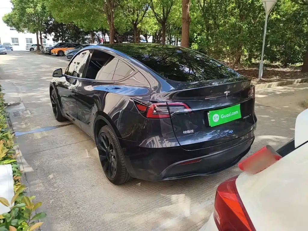 Tesla Model Y — миниатюра 5