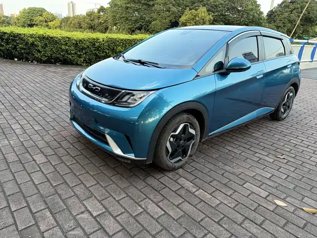 2022 BYD Dolphin