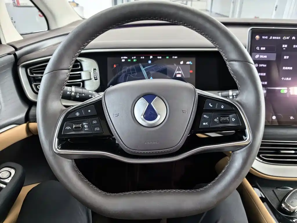 Denza Denza D9 — миниатюра 13