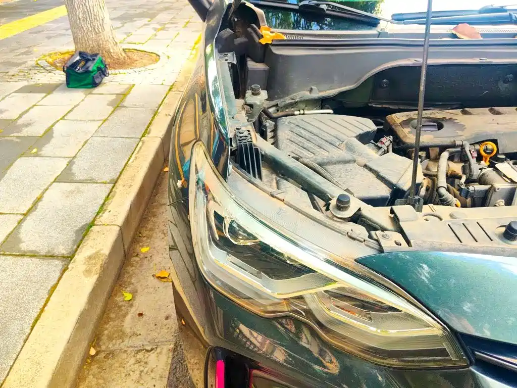 Chevrolet Volando — миниатюра 19