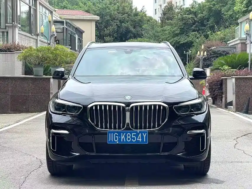 BMW X5 — миниатюра 2