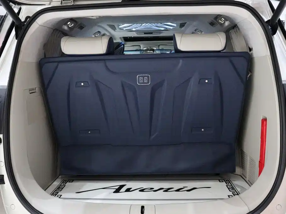 Buick GL8 — миниатюра 27