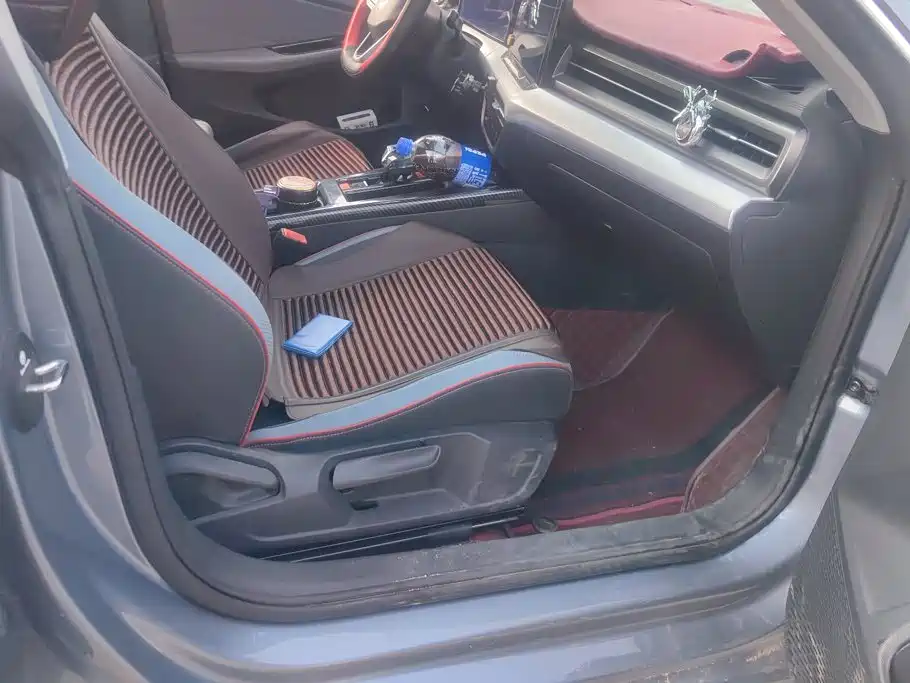 Volkswagen Lamando — миниатюра 8