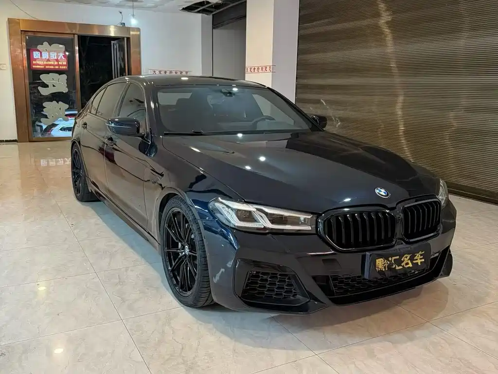 BMW 5 Series — миниатюра 2
