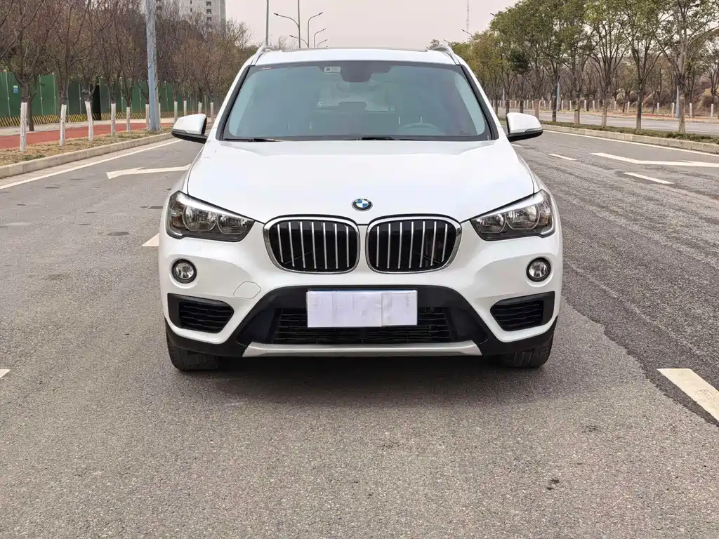 BMW X1 2019 sDrive18Li Fashion