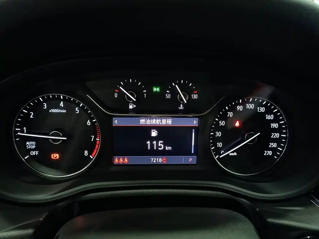 Buick Regal — миниатюра 12