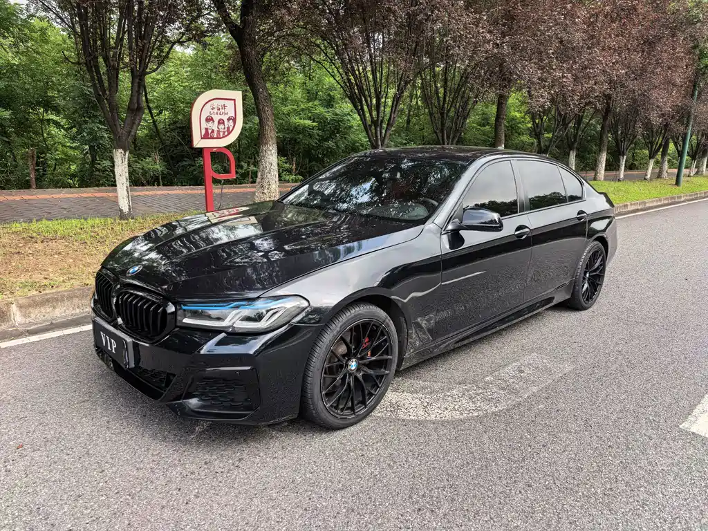 BMW 5 Series 5 2013 525Li Lead