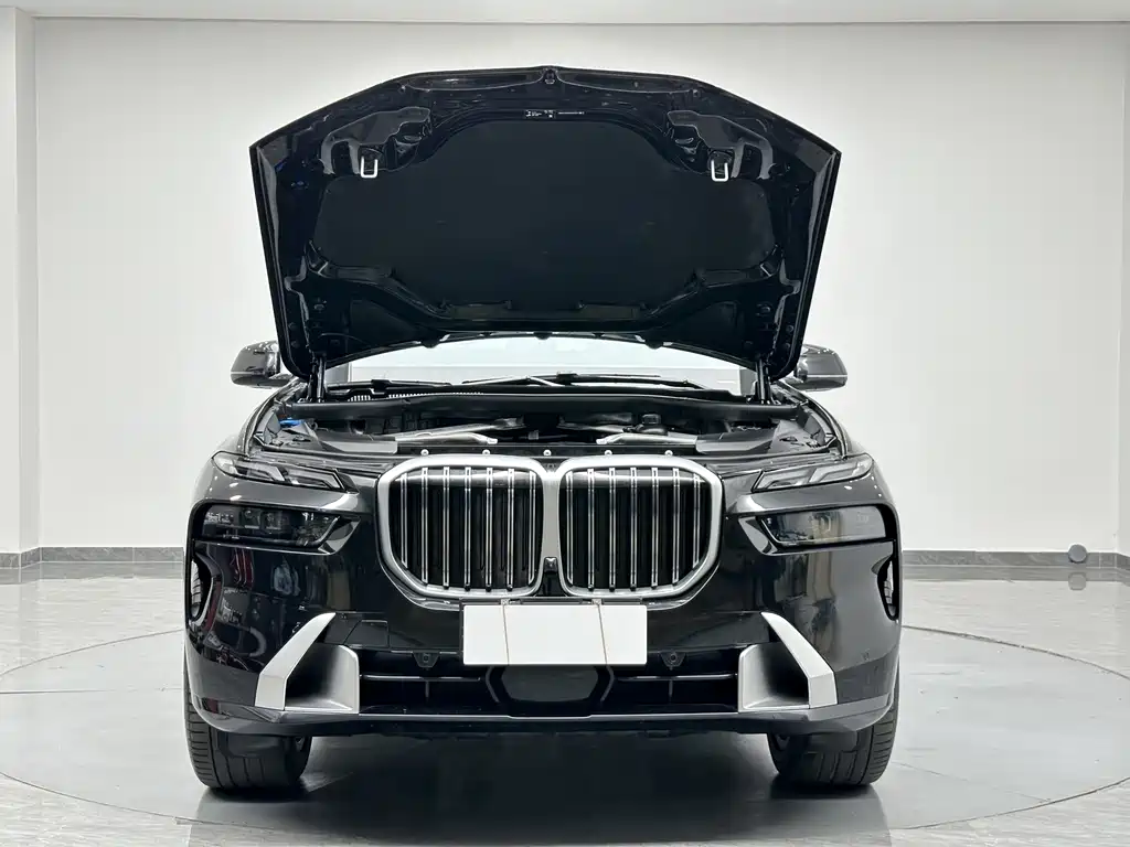 BMW X7 — миниатюра 26