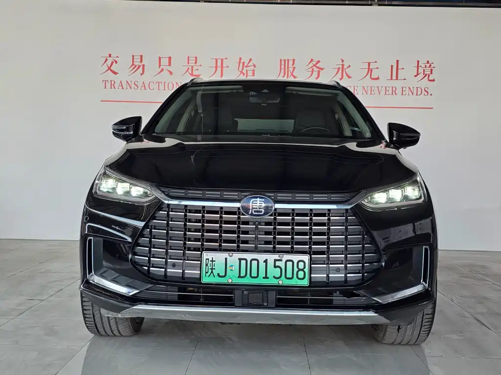 BYD Tang New Energy — миниатюра 2