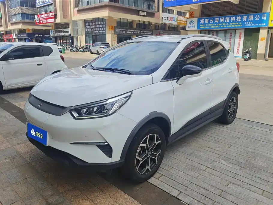BYD Yuan Pro Pro 2021 401KM Luxury