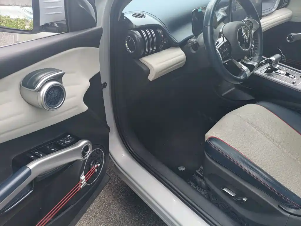 BYD Yuan Plus — миниатюра 14