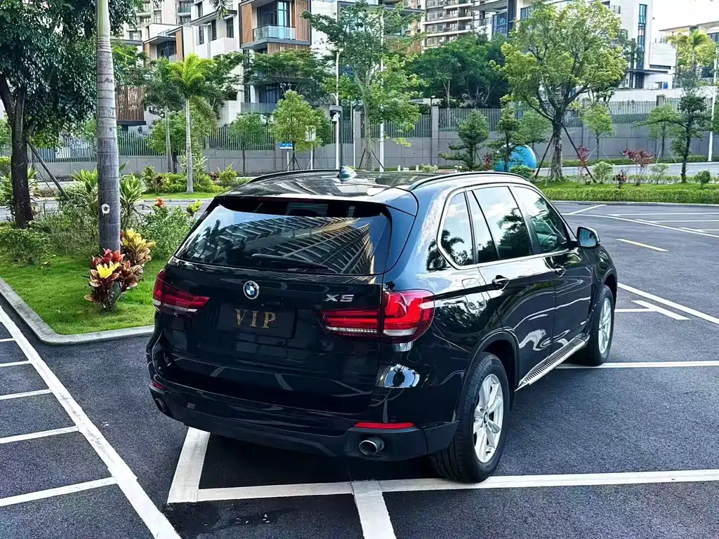 BMW X5 2014 xDrive35i Lead