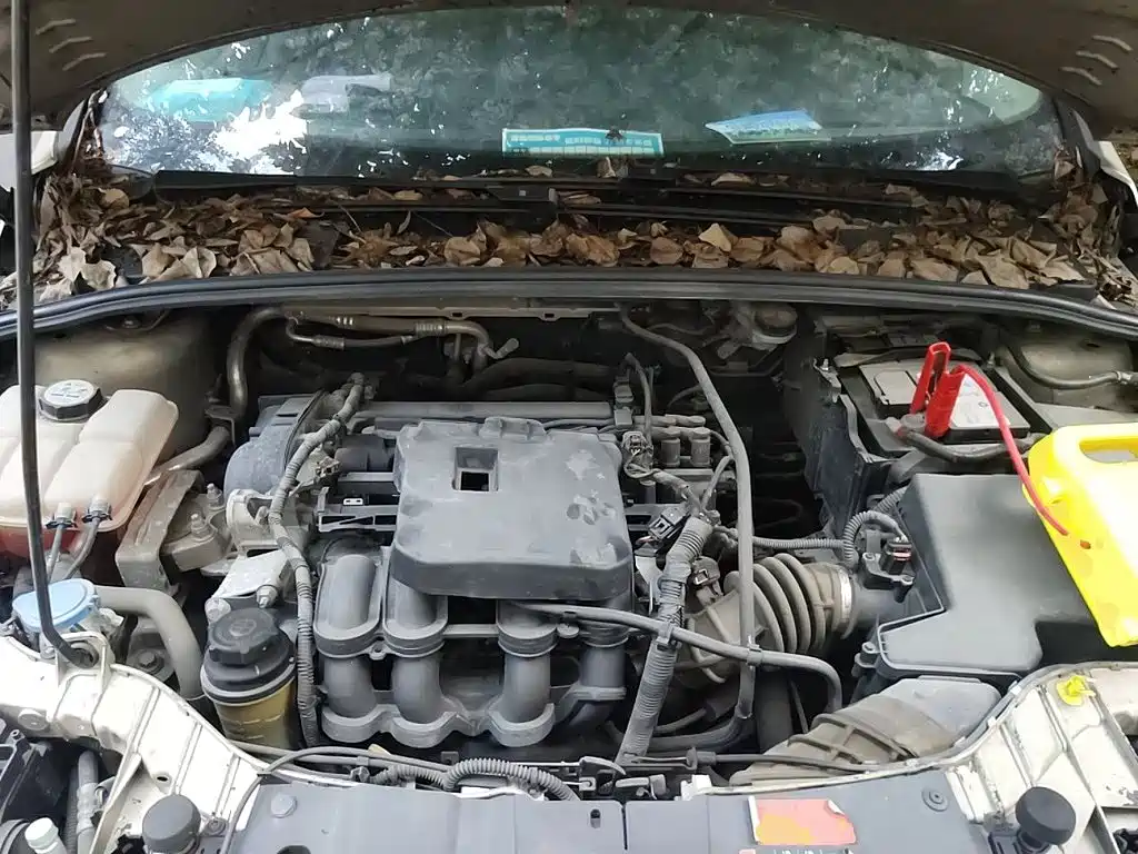 Ford Focus — миниатюра 11