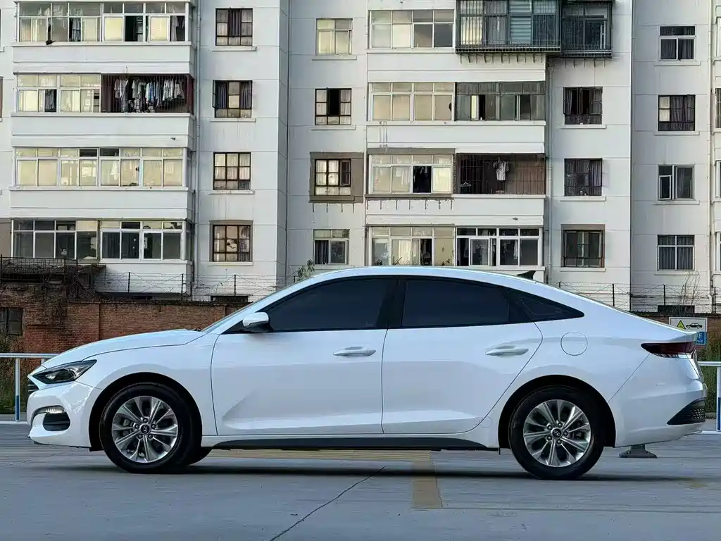 Hyundai Fista — миниатюра 7
