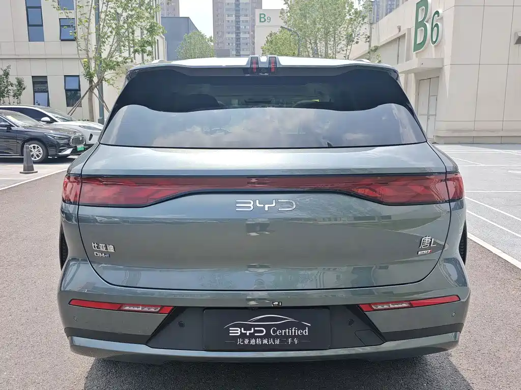 BYD Дон Л. — миниатюра 10
